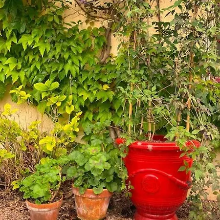 Maison Entiere De 2 A 10 Personnes Tatil Evi