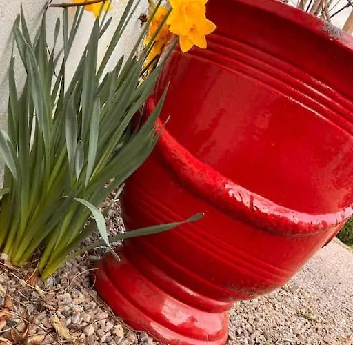 Maison Entiere De 2 A 6 Personnes 度假居 Sées